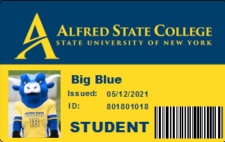 Big Blue ID card